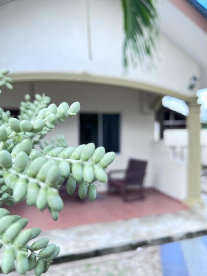 Dhania Cenang Beach Resort Pantai Cenang  Exterior foto